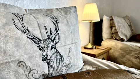 Room 3, the stag cushion