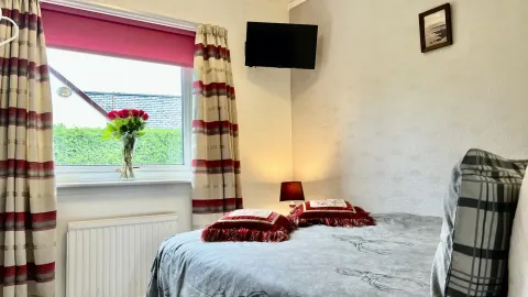 Room 5, the bed and television