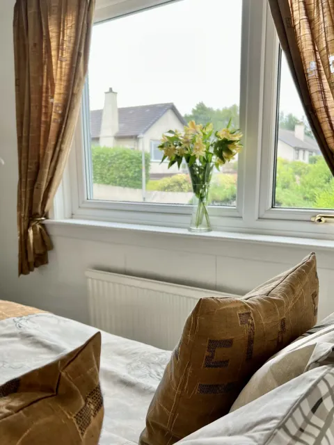 Room 4, flowers on the windowsill