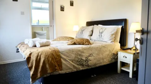 Room 1, a double bed beside the window